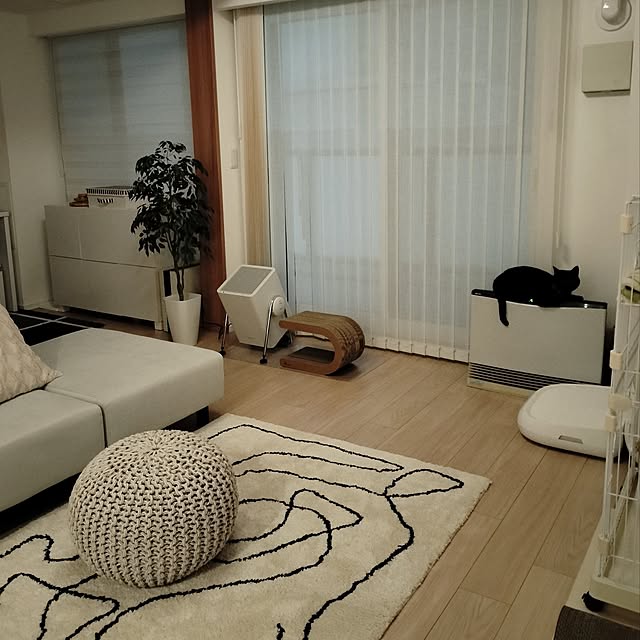 sakuraさんの部屋