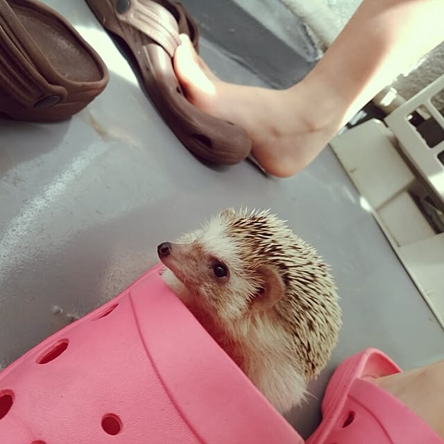 kuruさんの実例写真