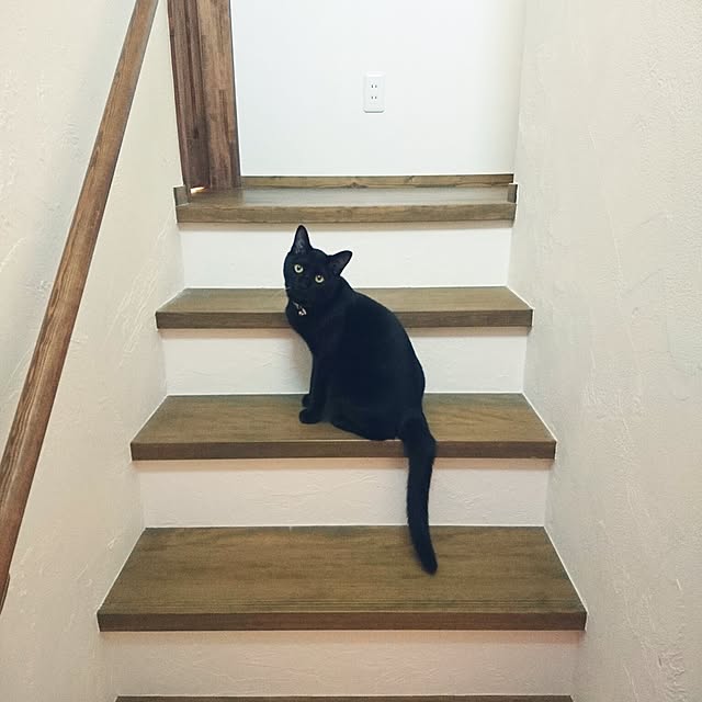hiroさんの実例写真