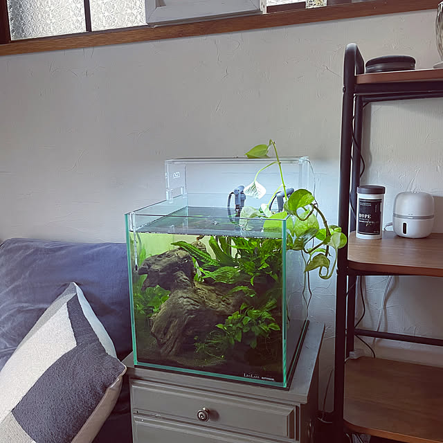 kuroさんの実例写真