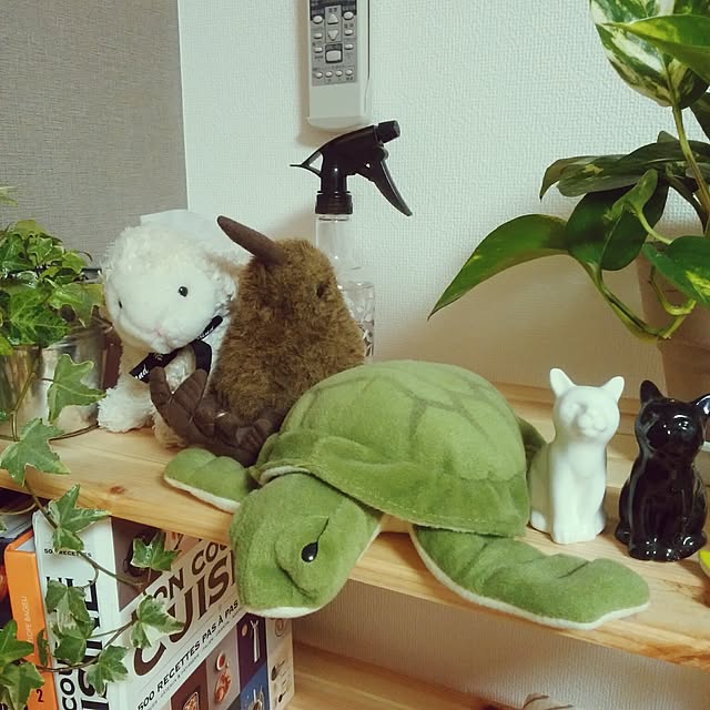kiwiさんの実例写真