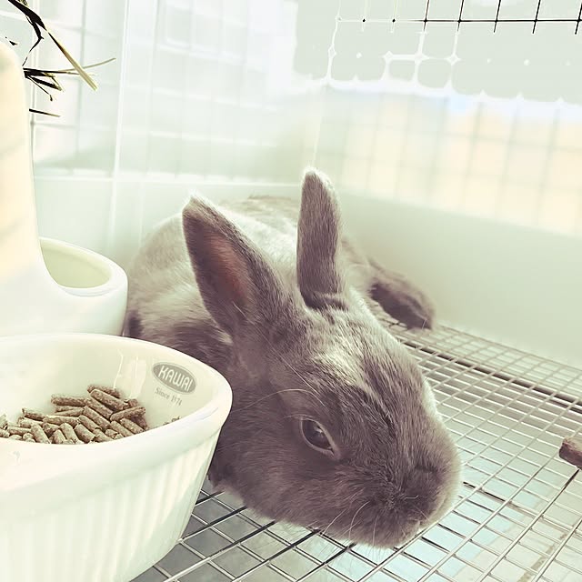 Marumoさんの実例写真
