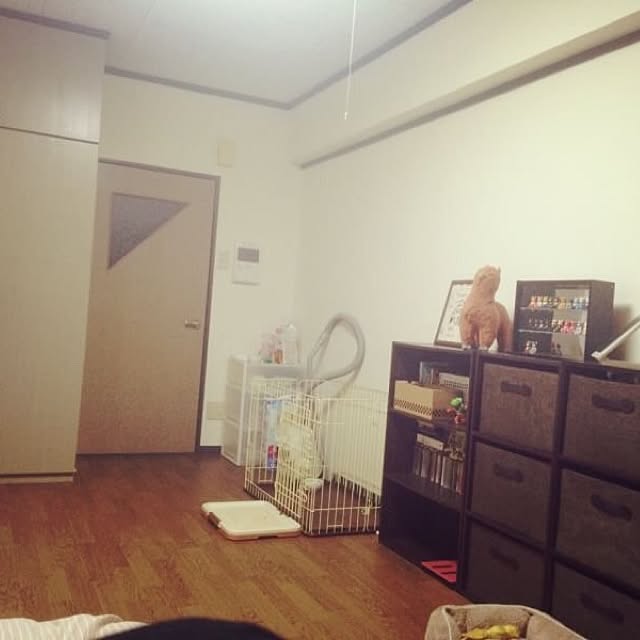 geroさんの実例写真