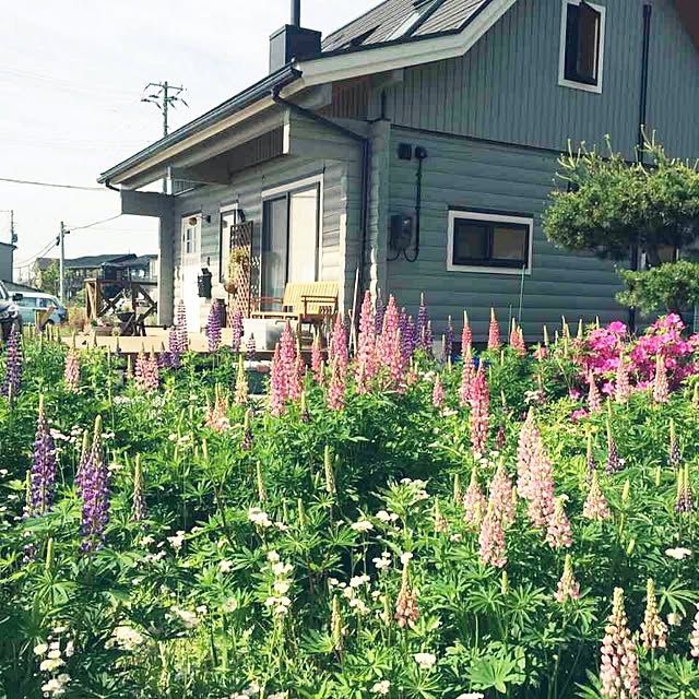 tsumugi_gardenさんの実例写真