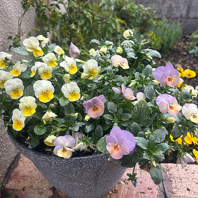 banbinaさんの実例写真