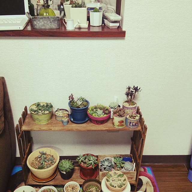 aiさんの実例写真