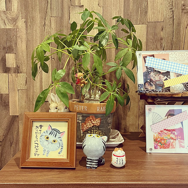 yukimidaifukuさんの実例写真