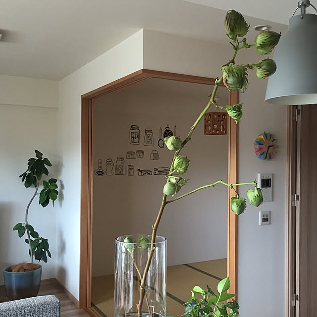 canacoさんの実例写真