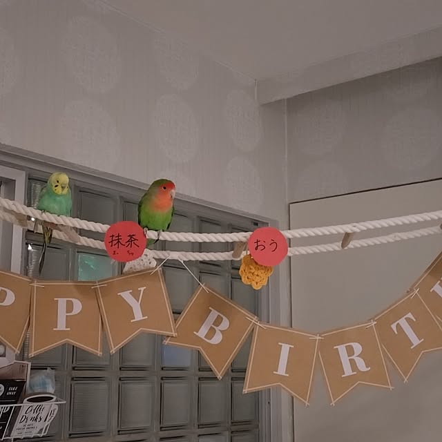 toratanさんの部屋