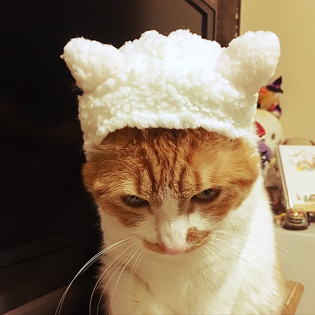 nyanyakoさんの実例写真