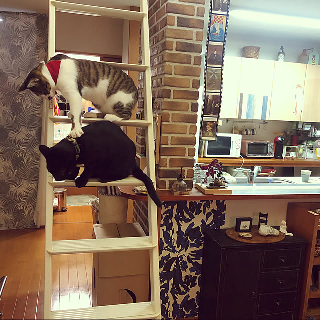 jijiさんの部屋