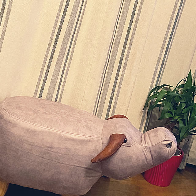 aimina0107さんの実例写真