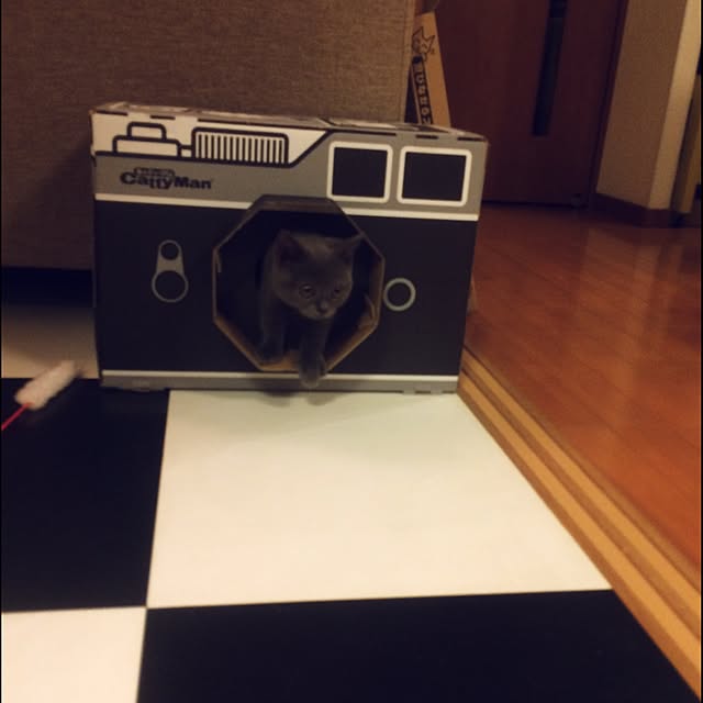 Shojiさんの実例写真