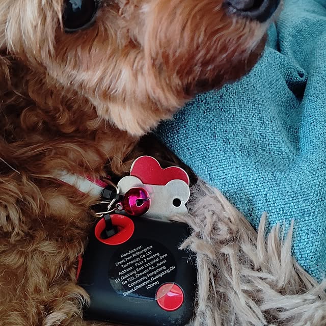 MOMOMAMAさんの実例写真