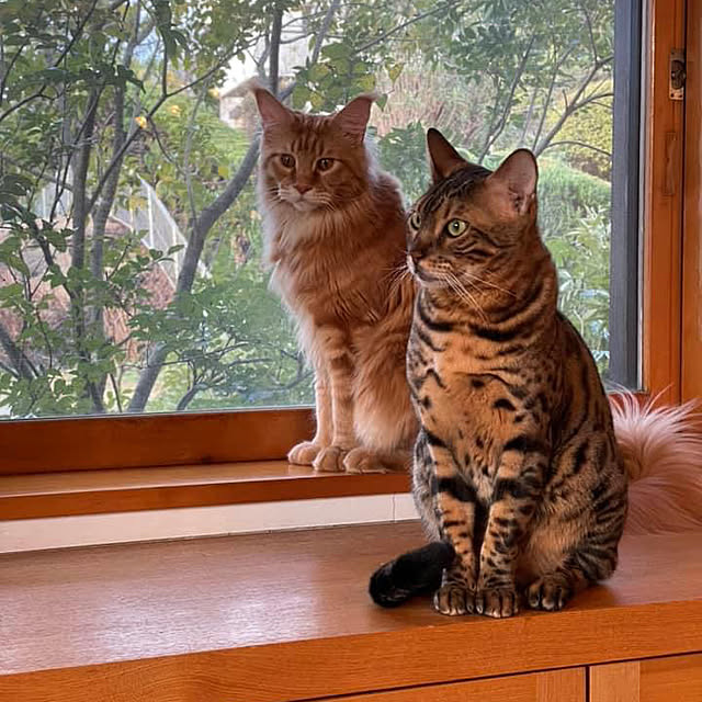 kabu10さんの実例写真