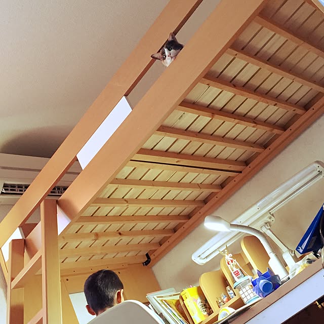 yumasukeさんの実例写真