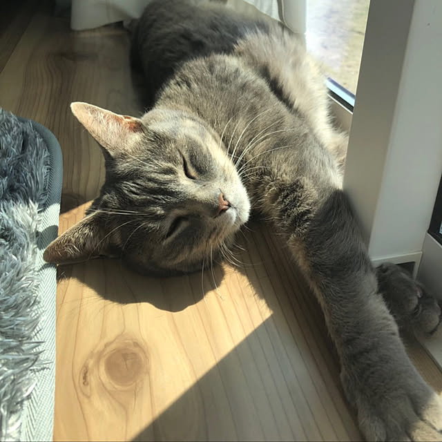 Roby1018さんの実例写真