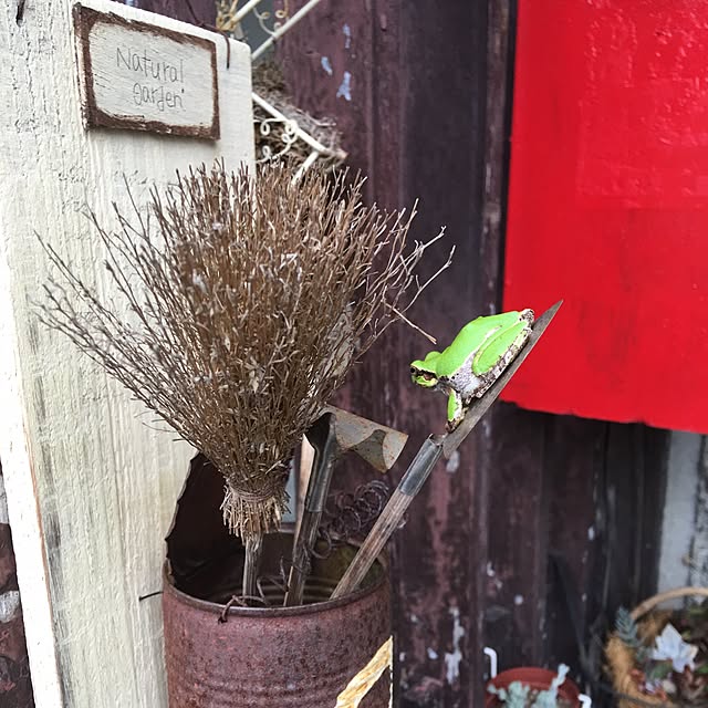 実例写真
