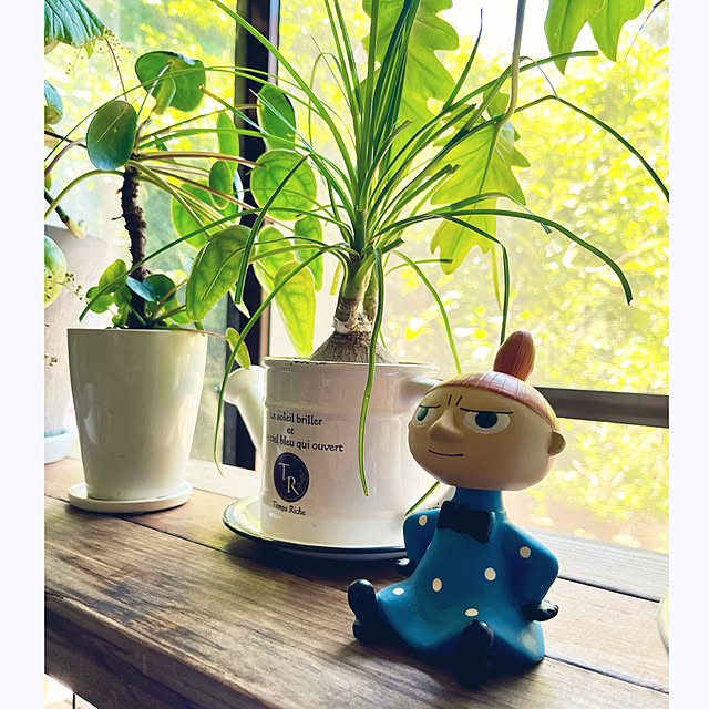 cotaさんの部屋