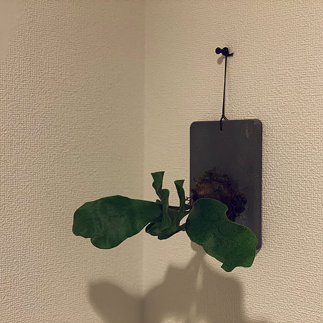 gooさんの実例写真