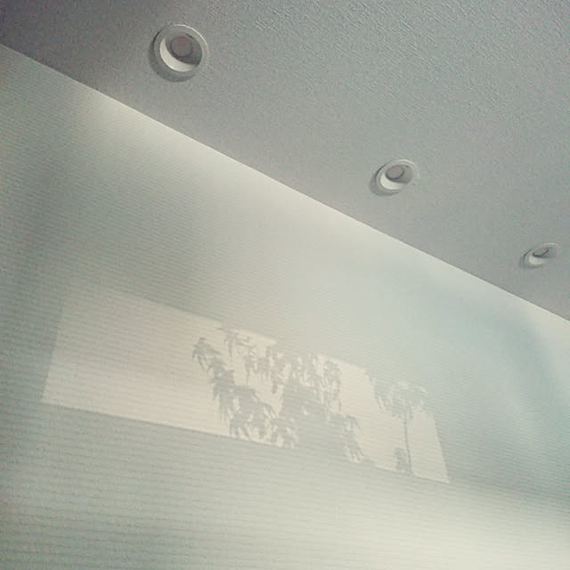 asamiさんの実例写真