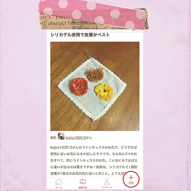 kojiro120513さんの実例写真