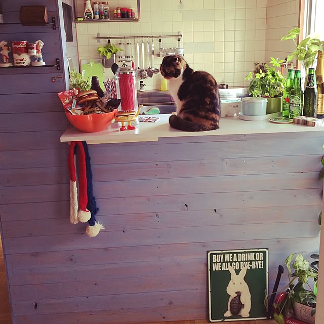 asgoさんの実例写真
