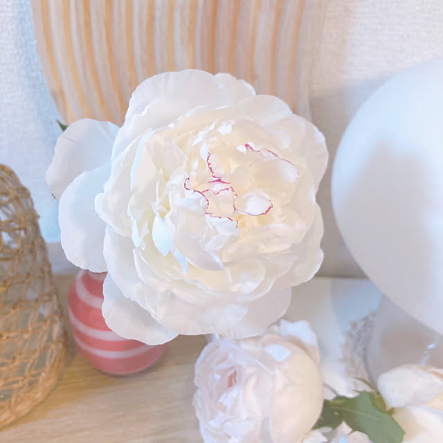 sunabaさんの部屋