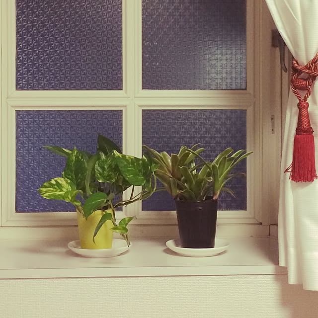 Y.designさんの実例写真