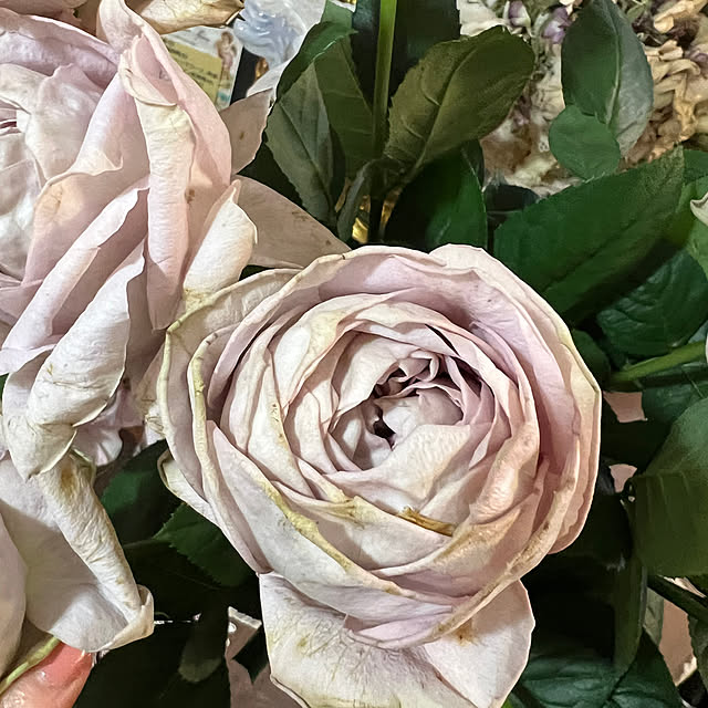 AYUKOさんの部屋