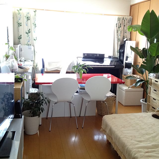 aoさんの実例写真