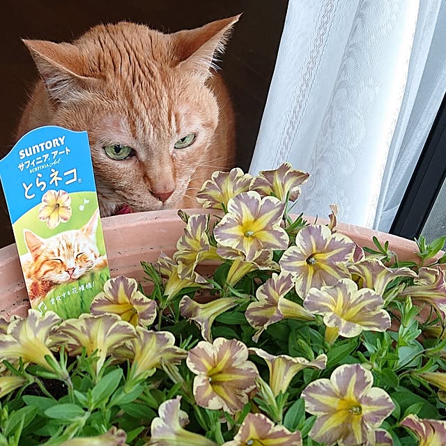 NOAHさんの部屋