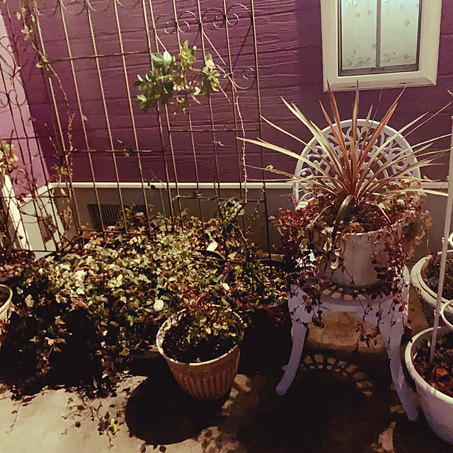 AYUKOさんの実例写真