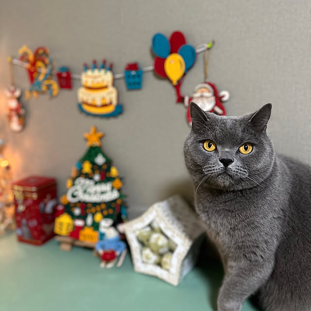 kittyさんの部屋