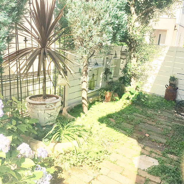 kazuさんの実例写真