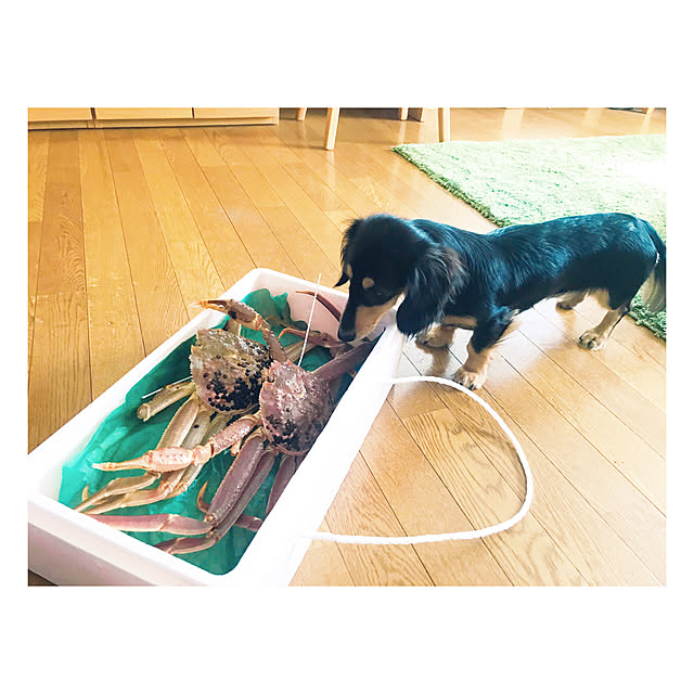 yukoさんの実例写真