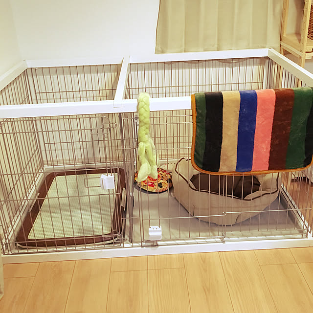 satonoriさんの実例写真
