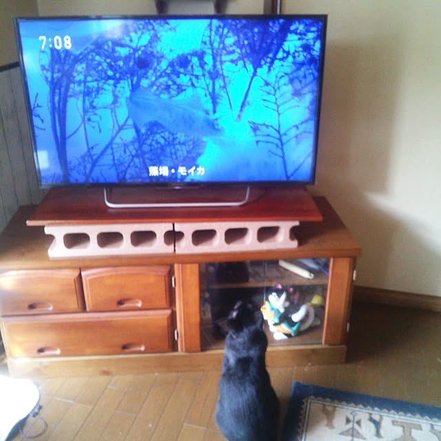 Tomopさんの実例写真
