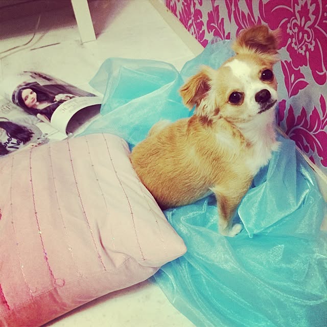 Reineさんの実例写真