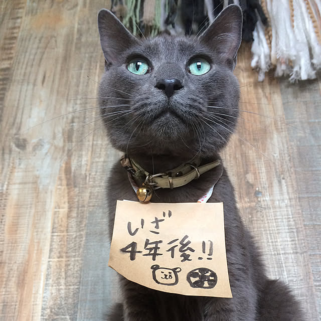 annさんの実例写真