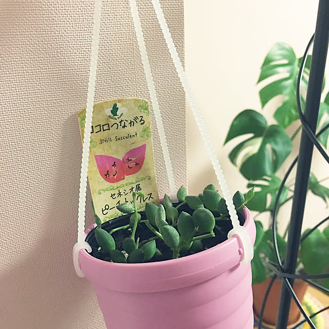 yurilily_tさんの実例写真