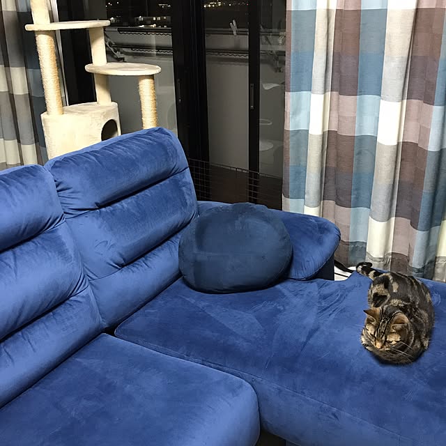 kinakoさんの実例写真