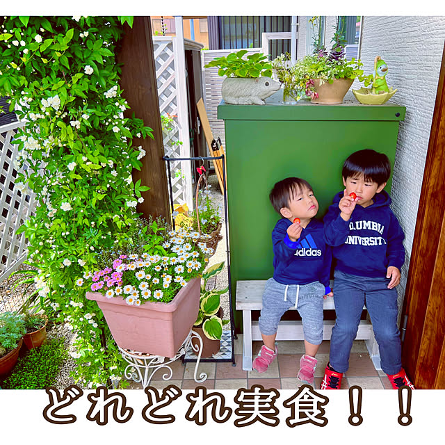hinamamaさんの部屋