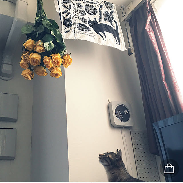mikomaruさんの実例写真