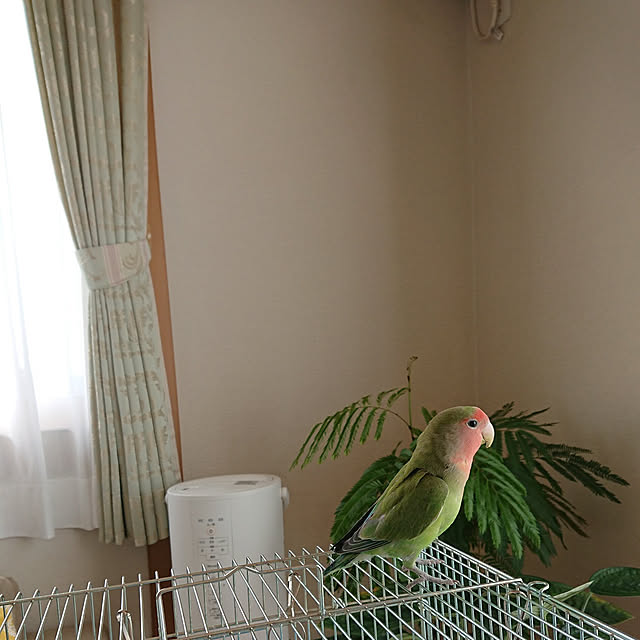 ayaさんの実例写真