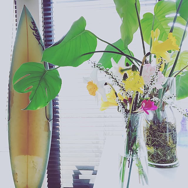 harusoraさんの実例写真