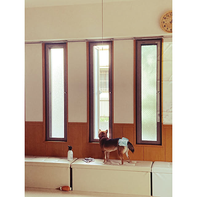 nocomomさんの実例写真