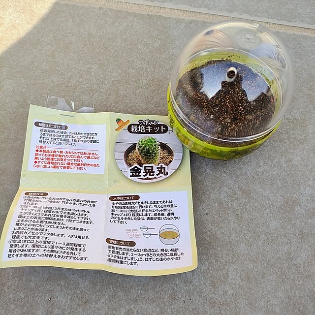 mowchanさんの部屋