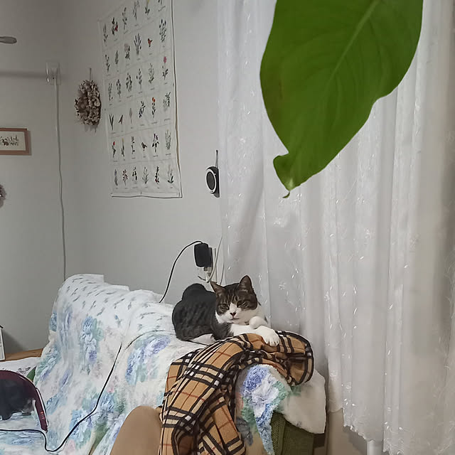 civicglさんの実例写真