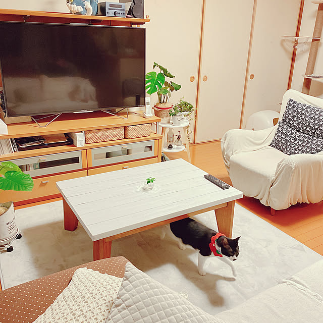 moolさんの実例写真